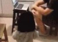 熊孩子从马桶里舀水给他爸喝