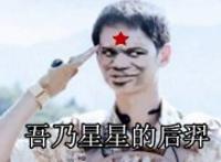 吾乃星星的后羿