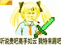svip:听说贵吧高手如云我特来踢吧