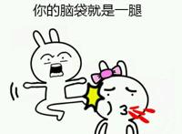 兔子踢妹子吐血：啊哒，本宝宝对着你的脑袋就是一腿