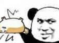 丢过来一只狗：熊猫接住了