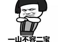 抱拳：一山不容二宝，告辞