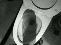 这是个什么图？