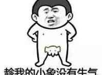 趁我的小象没有生气，还不快走