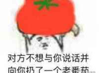 对方不想与你说话并向你扔了一个老番茄