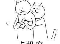 从后面抱着别人：卡机麻