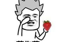 草莓：草你莓