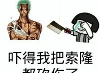 捂脸笑：吓得我把索隆都砍伤了