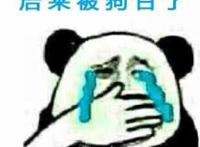 他，曾经是个王者，后来被狗日了,指着楼上