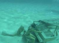 我就默默在旁边看你装逼,人鱼