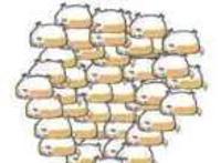 害羞的小妹子:我来啦，都不在吗