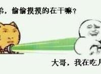 小弟偷偷摸摸的在干嘛 大哥我在吃月饼,猫拿着电灯