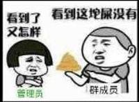 看到这坨屎没有 管理员：看到了又怎样？ 啪！,群成员