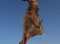 你快把我夹断了，绞得这么紧还说不要