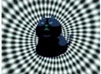 twitter上都在疯转的一只喵，这只猫为什么这么火？