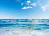 收录优美的图片