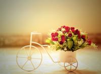 topit me收录优美图片