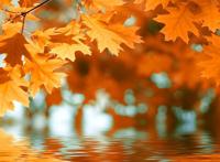 it me优美图片收录 topit.me 收录优美图片