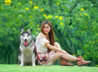 养狗的女人不能娶