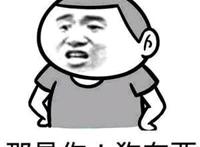 那是你！狗东西