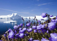 微信头像山水风景