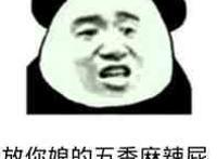 放你娘的五香麻辣屁