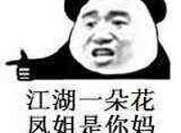 江湖一朵花 凤姐是你妈