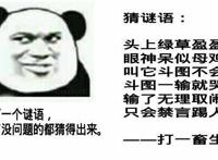 打一畜生：头上绿草盈盈 眼神呆似母鸡