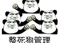 整死狗管理