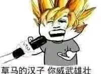 草马的汉子 你威武雄壮，被草的骏马 像发疯一样