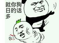 就你狗日的话多