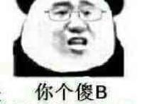 你个傻B回家养猪去吧