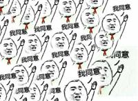 举手：我同意表情