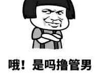 哦！是吗撸管男