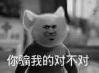 你骗我的对不对