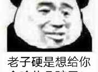 老子硬是想给你个哈儿几坨子