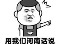 用我们河南话说你就是一个信球
