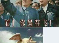 看！你妈在飞！（猪）