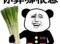 你算哪根葱