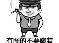 有图不要藏着都交出来给国家（金馆长城管服）