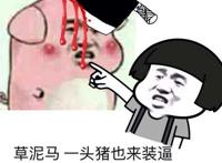 草泥马一头猪也来装逼