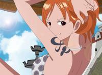 海贼王妮可罗宾娜美齐上阵路飞干娜美图片