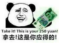 拿去！这是你应得的！（250人民币）