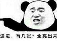 逼逗 有几张？全亮出来