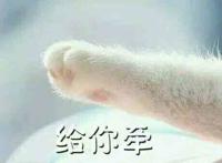 猫爪（给你牵）