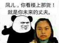 凤儿 你看楼上那货！就是你未来的丈夫