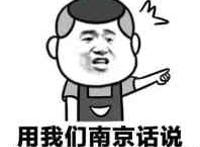 用我们南京话说你就是一个小代笔