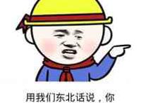 用我们东北话说你就是一个二愣子