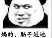 妈的 脑子进地沟油了吧，傻屌