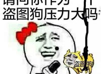 请问你作为一个盗图狗压力大吗？挺大的，毕竟图不是说盗就盗的